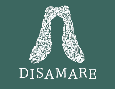 disamare