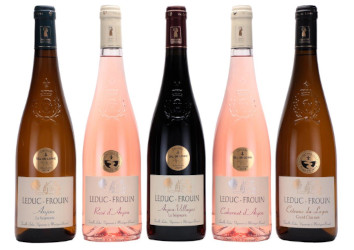gamme-vins