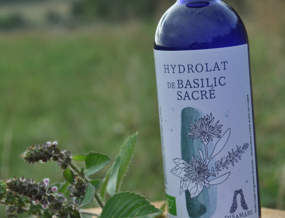 Hydrolat-Basilic-Sacré-Disamare.JPG