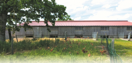 La-Ferme-des-Harbaux-poulailler