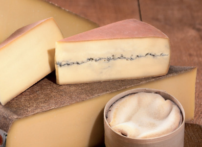 les_fromages_vagne