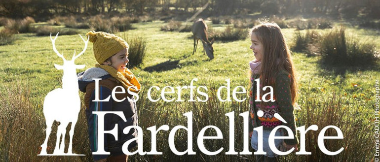 les-cerfs-photo
