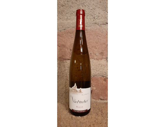 Muscat V2