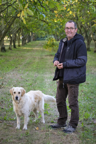 paul_gautreau_noyeraie2