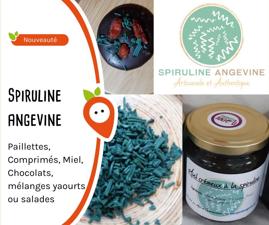 spiruline_angevine