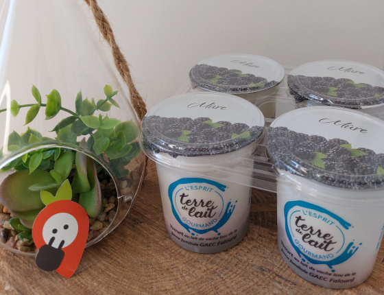 TDL-09