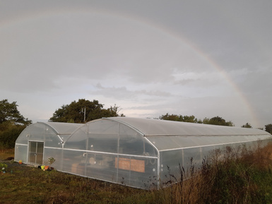 serre-spiruline-angevine